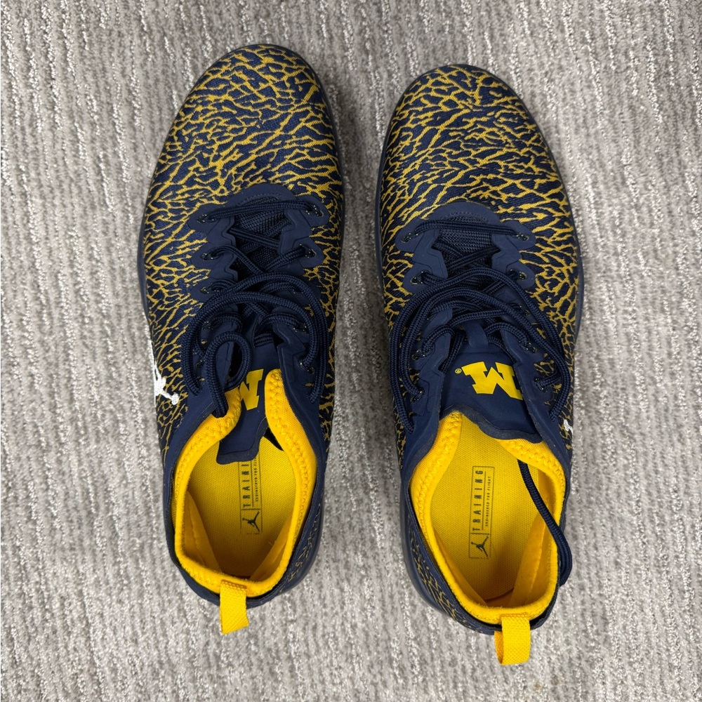 Jordan Trainer 2 Flyknit Michigan Wolverines Sneakers